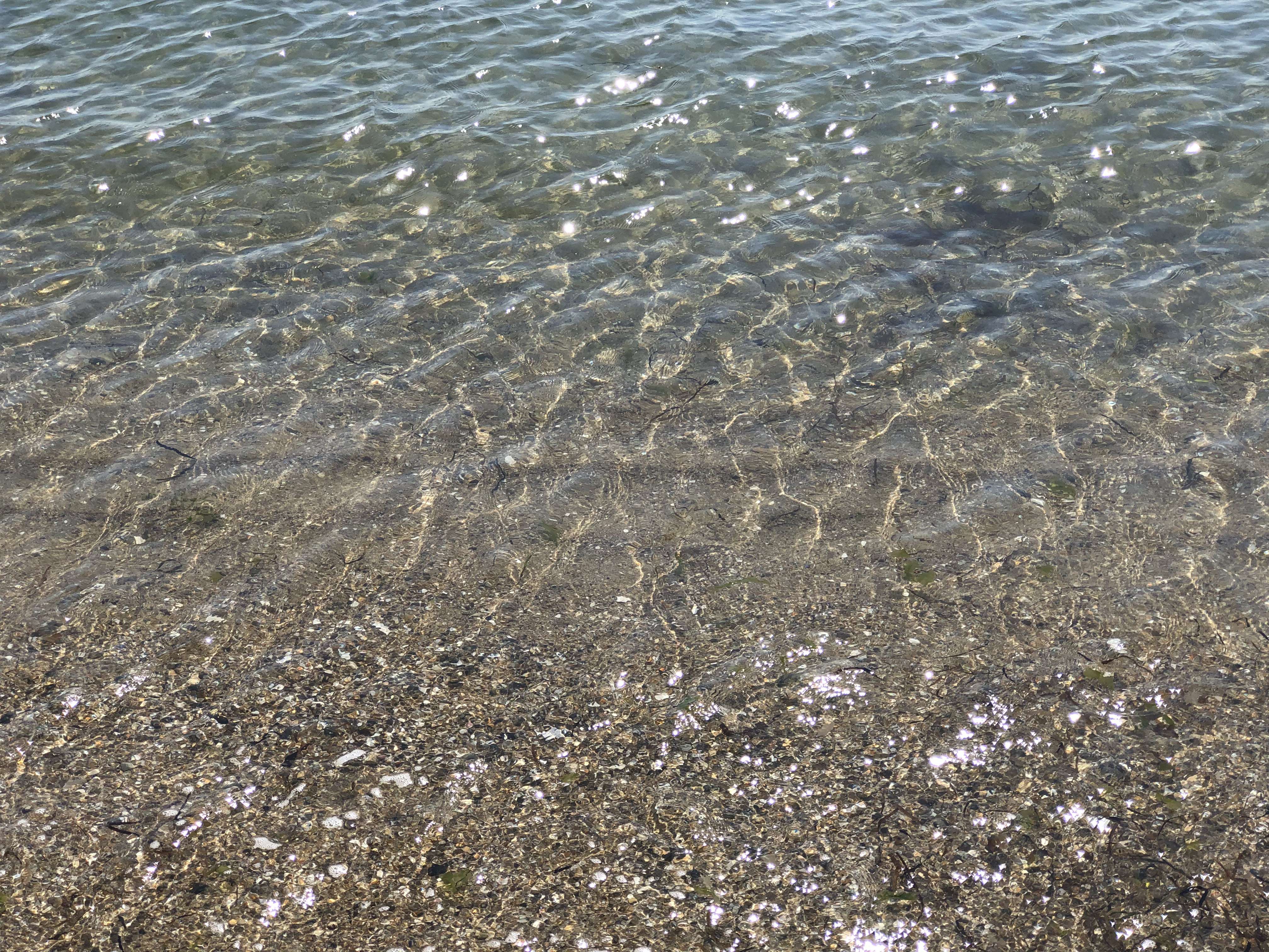 日間賀島 海水浴場 透明度 きれい